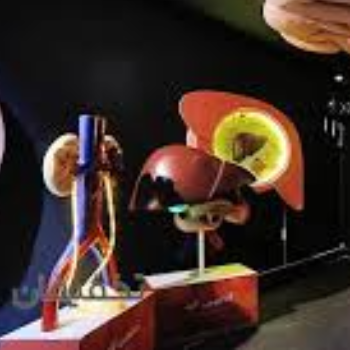 اردوی علمی هیومن پارک