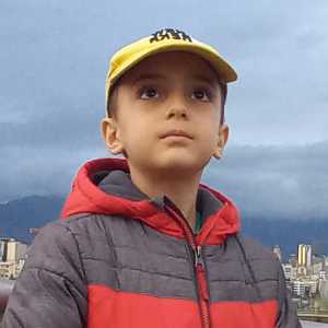 سید علی علوی