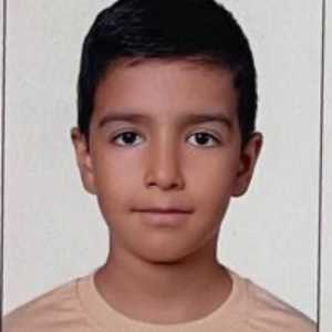 مهدی حبیب لویی