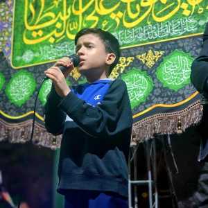 محمد علی ضیغمی