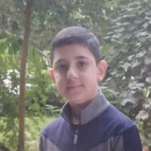 محمد علی برهمند