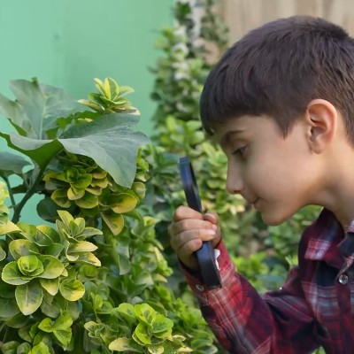 پاییز عزیز کجایی؟