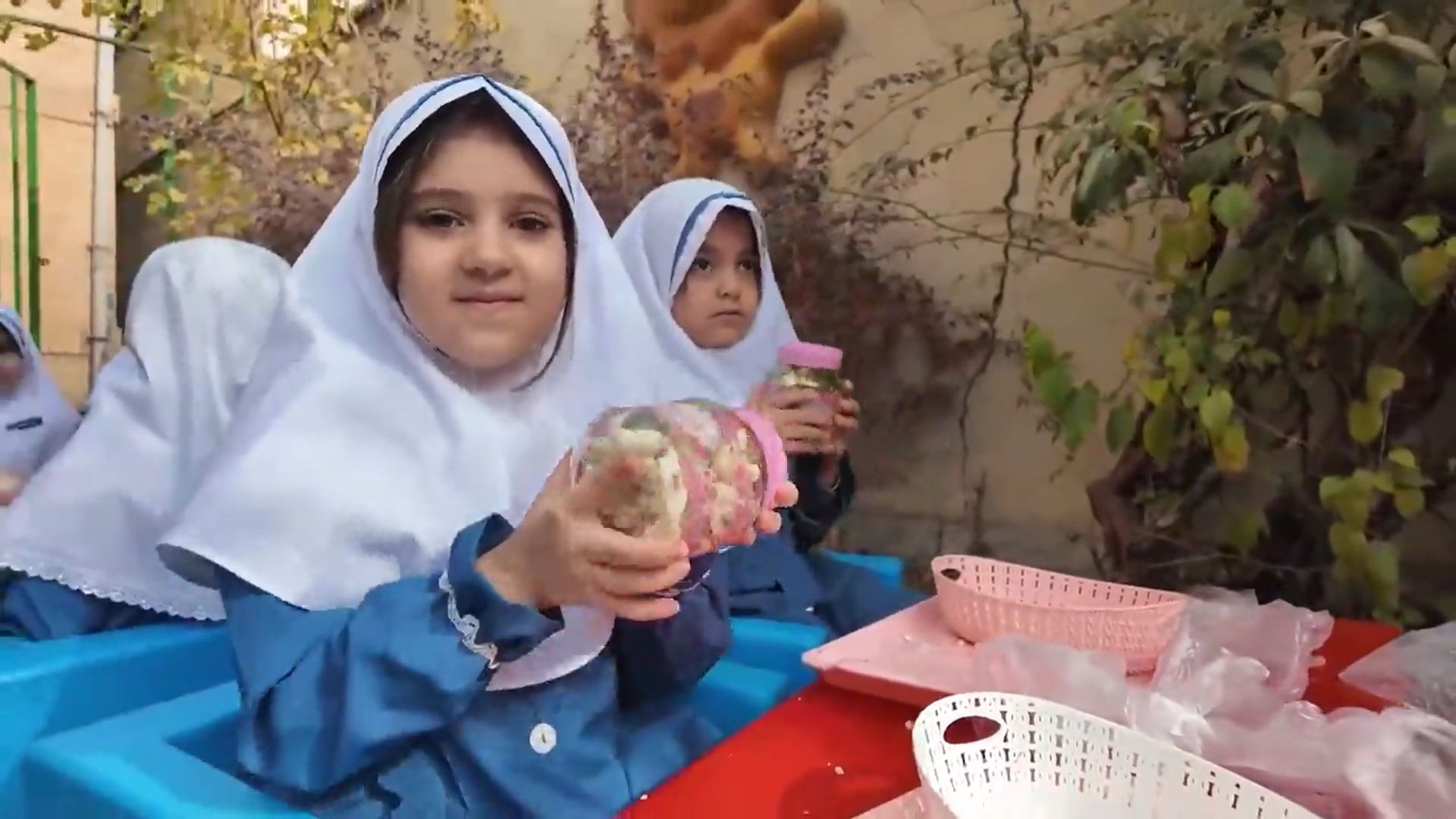 ترشی اندازون