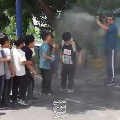 فصل آفتابگردان